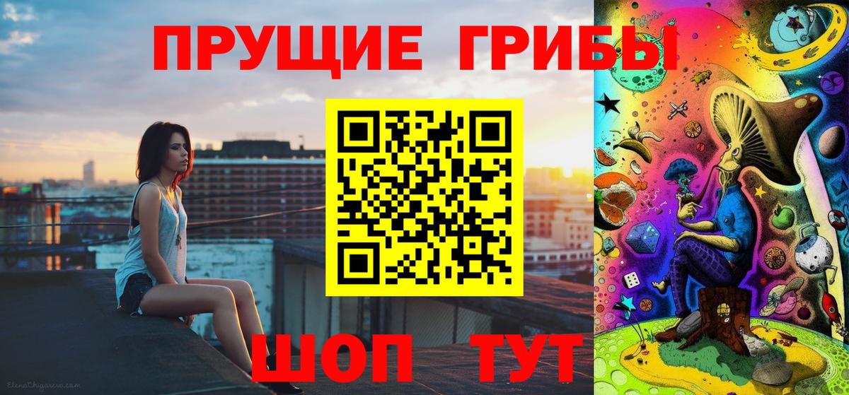 Псилоцибиновые грибы Psilocybe  Вход с VPN  Серов 